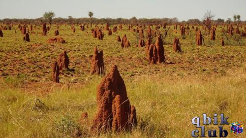 Эти высокие колонии термитов усеивают африканскую саванну